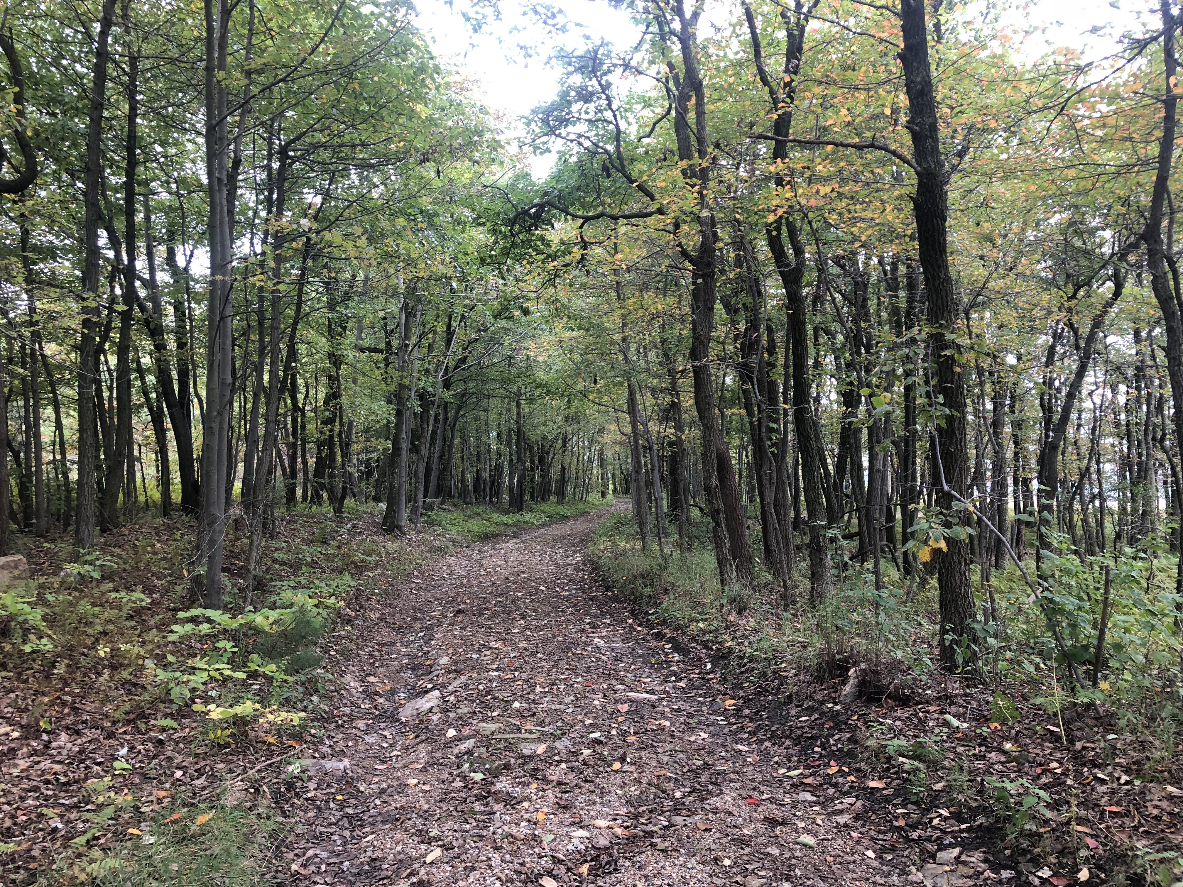 Leroy Smith Shelter to Bake Oven Knob Shelter, 24 mi (AT 940)